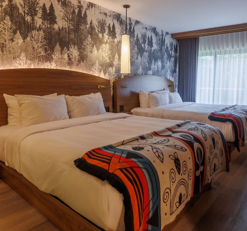 Chambre Confort King-King